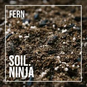 Soil Ninja Fern Soil Mix Blend 2.5L - image 2