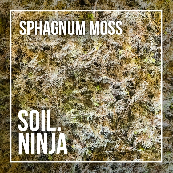 Soil Ninja Sphagnum Moss 5L - image 3