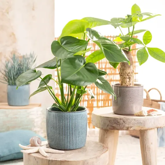 Solido Blue Pot Ø21cm - image 2