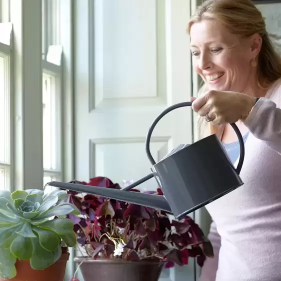 Sophie Conran Greenhouse & Indoor Watering Can - Grey - image 3