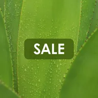 Special Offer Houseplants