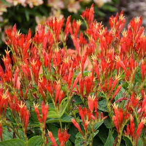 Picture - Walter's Gardens, Inc.