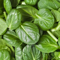 Spinach