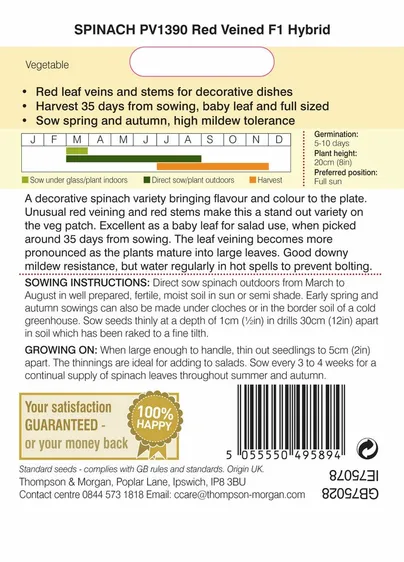 Spinach PV1390 Red Veined F1 - image 2