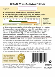 Spinach PV1390 Red Veined F1 - image 2