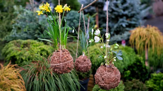 Spring Kokedama Workshop