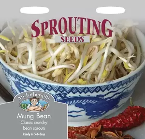Sprouting Seeds - Mung Bean - image 2
