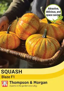 Squash Blaze F1 Seeds - image 1