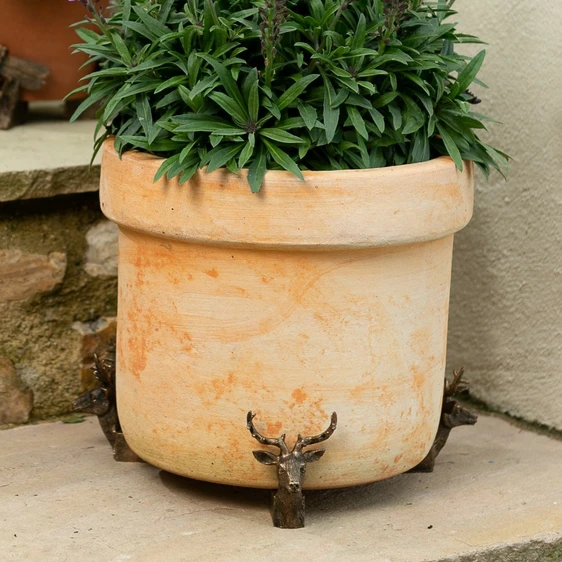 Stag Pot Feet - image 4