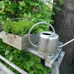 Stainless Steel Watering Can 1L - image 2