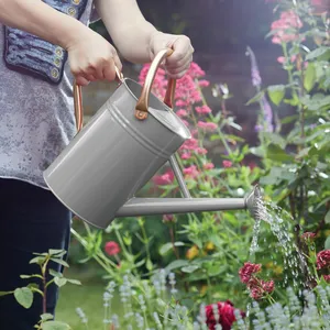 Steel Medium Watering Can - Slate