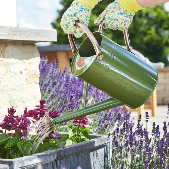 Steel Medium Watering Can - Sage