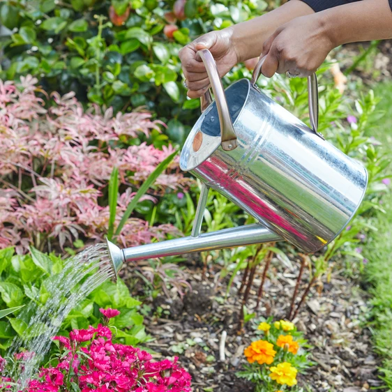 Steel Medium Watering Can - Galvanised