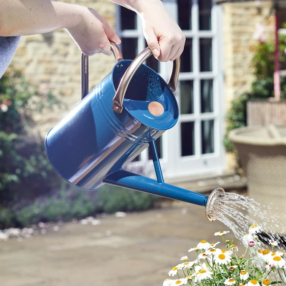 Steel Medium Watering Can - Blue