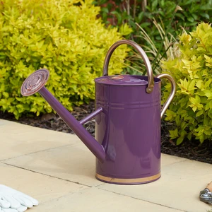 Steel Medium Watering Can - Violet