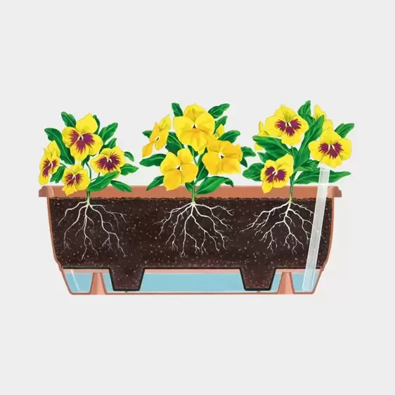 Stewart Balconniere Terracotta Trough - 70cm - image 2