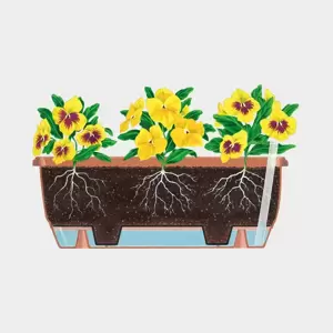 Stewart Balconniere Terracotta Trough - 70cm - image 2