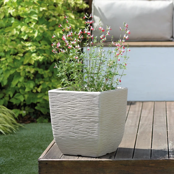 Stewart Cotswold Limestone Grey Planter - 32cm - image 2