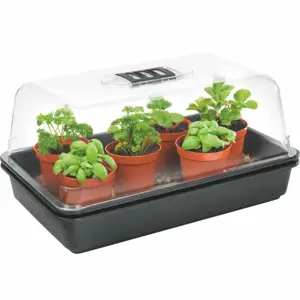 Stewart Non-Electric Propagator - 38cm - image 2