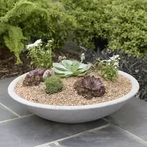 Stewart Varese Low Bowl Planter - Alpine Grey - image 1