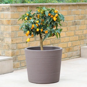 Stewart Varese Low Planter - Dark Brown