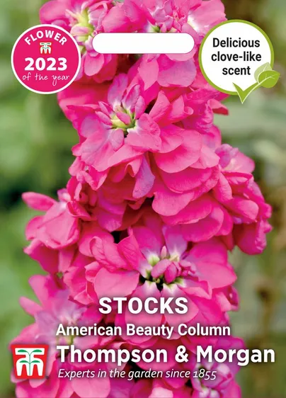 Stock American Beauty Column - image 1