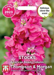 Stock American Beauty Column - image 1