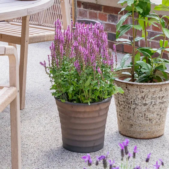 Ivyline Stow Mercury Tapered Ripple Planter Ø24cm - image 1