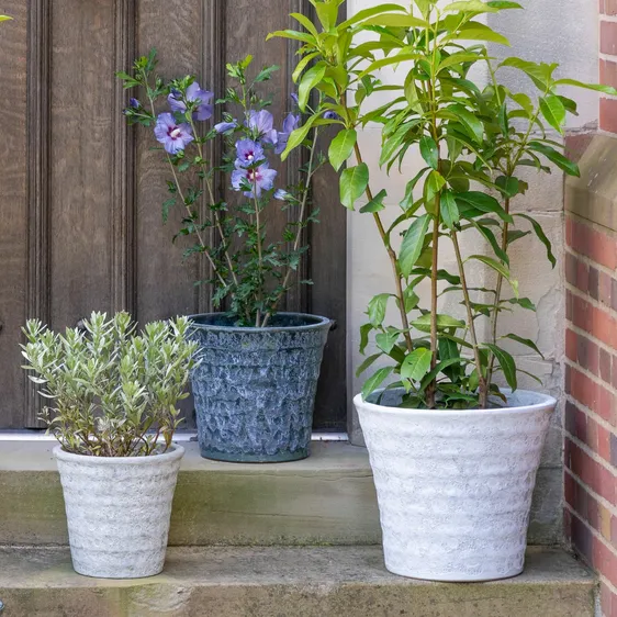 Ivyline Stow Volcanic Tapered Planter Ø24cm - image 1