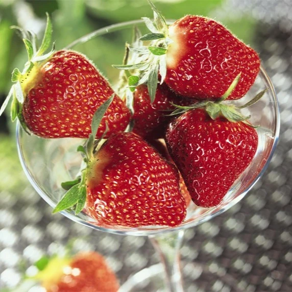 Picture Credit - DATAflor