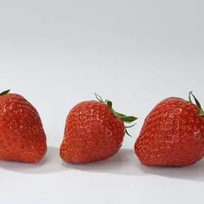 Picture Credit - DATAflor