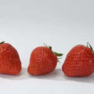 Picture Credit - DATAflor