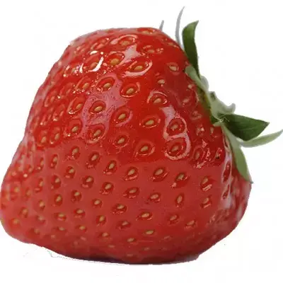 Picture Credit - DATAflor