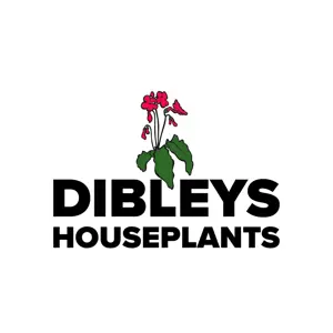 Image Credit: Dibleys Nurseries