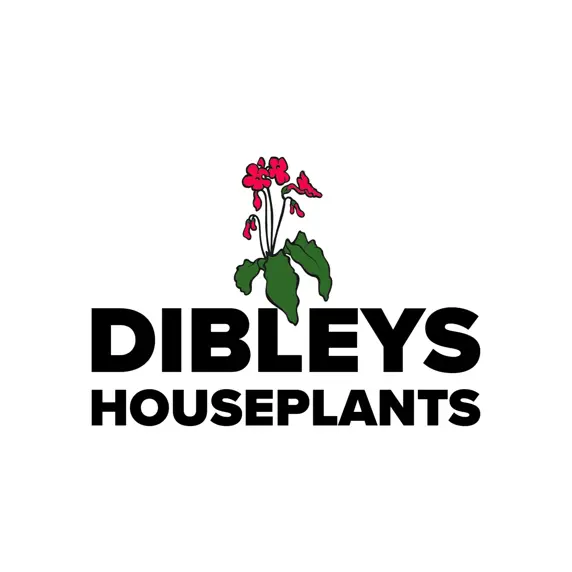 Image Credit: Dibleys Nurseries