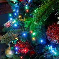 String Lights - Indoor