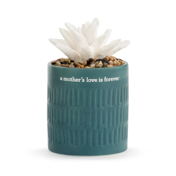 Succulent Oil Diffuser - Mothers Love