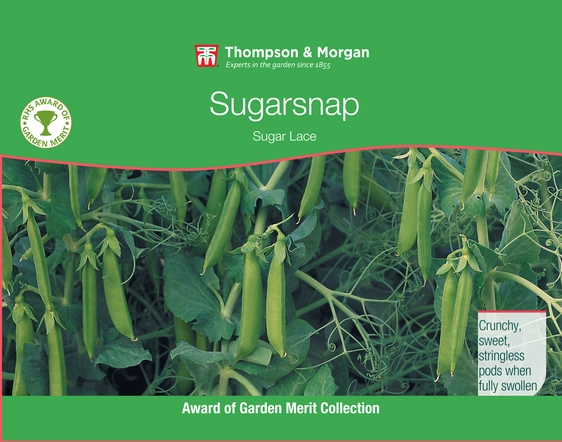 Sugarsnap Pea Sugar Lace - image 1