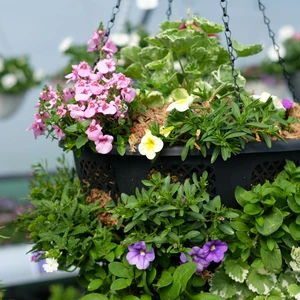 Summer Hanging Basket 16" - image 2