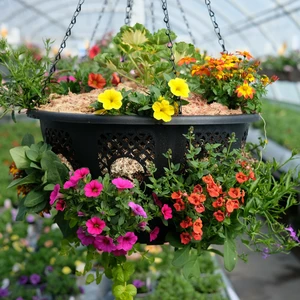 Summer Hanging Basket 16" - image 1