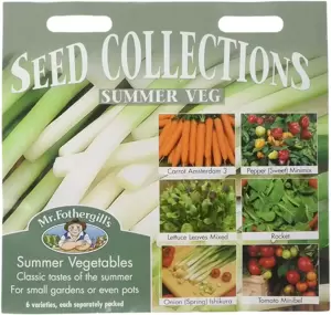 Summer Vegetables - image 1
