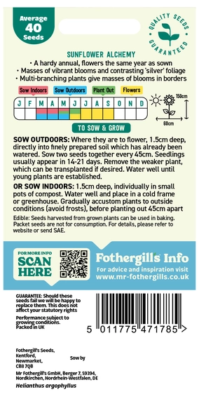 Sunflower Alchemy Seeds - image 2