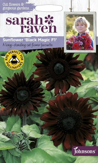 Sunflower Black Magic F1