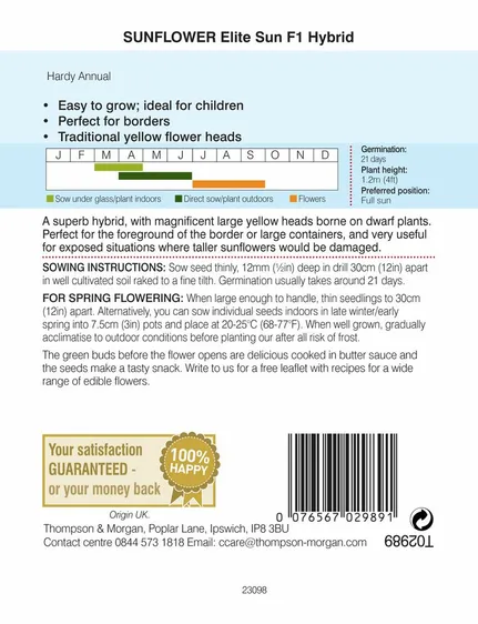 Sunflower Elite Sun F1 - image 2