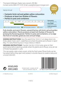 Sunflower Fire Fox - image 2