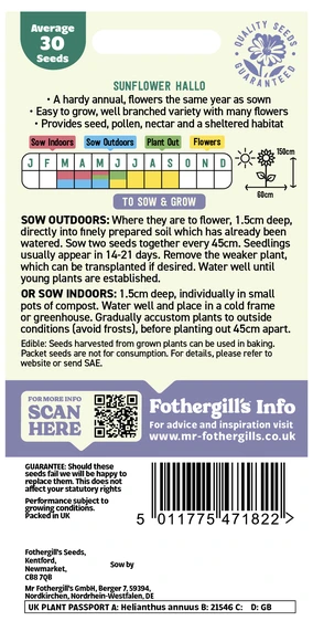 Sunflower Hallo - image 2