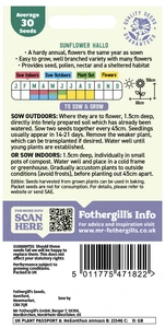 Sunflower Hallo - image 2