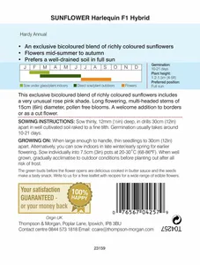 Sunflower Harlequin Mix F1 - image 2