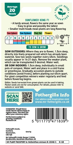 Sunflower Kong F1 Seeds - image 2