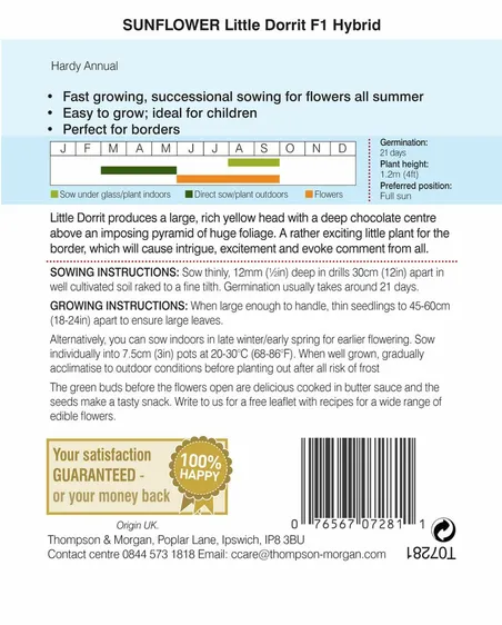 Sunflower Little Dorrit F1 - image 2